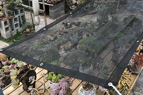 種植多肉植物大棚遮陽網用幾針的比較好？