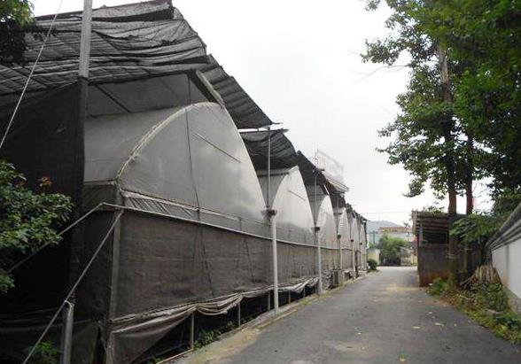 大棚遮陽網主要是擋光、擋雨、保濕、降溫的作用