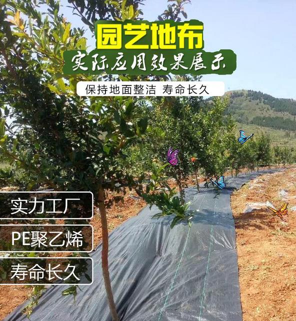 園藝地布應用