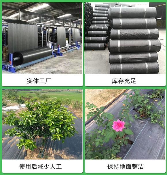 石榴種植應用