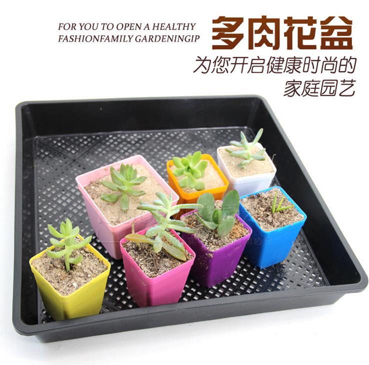 方盤應用（多肉種植）