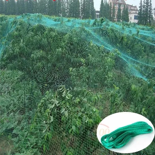 防鳥網