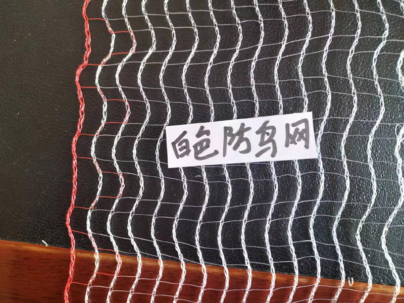 白色防鳥網